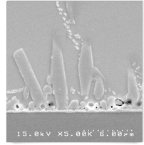 Condition of IMC with hypertrophic needles 5,000 X (excessive heat)