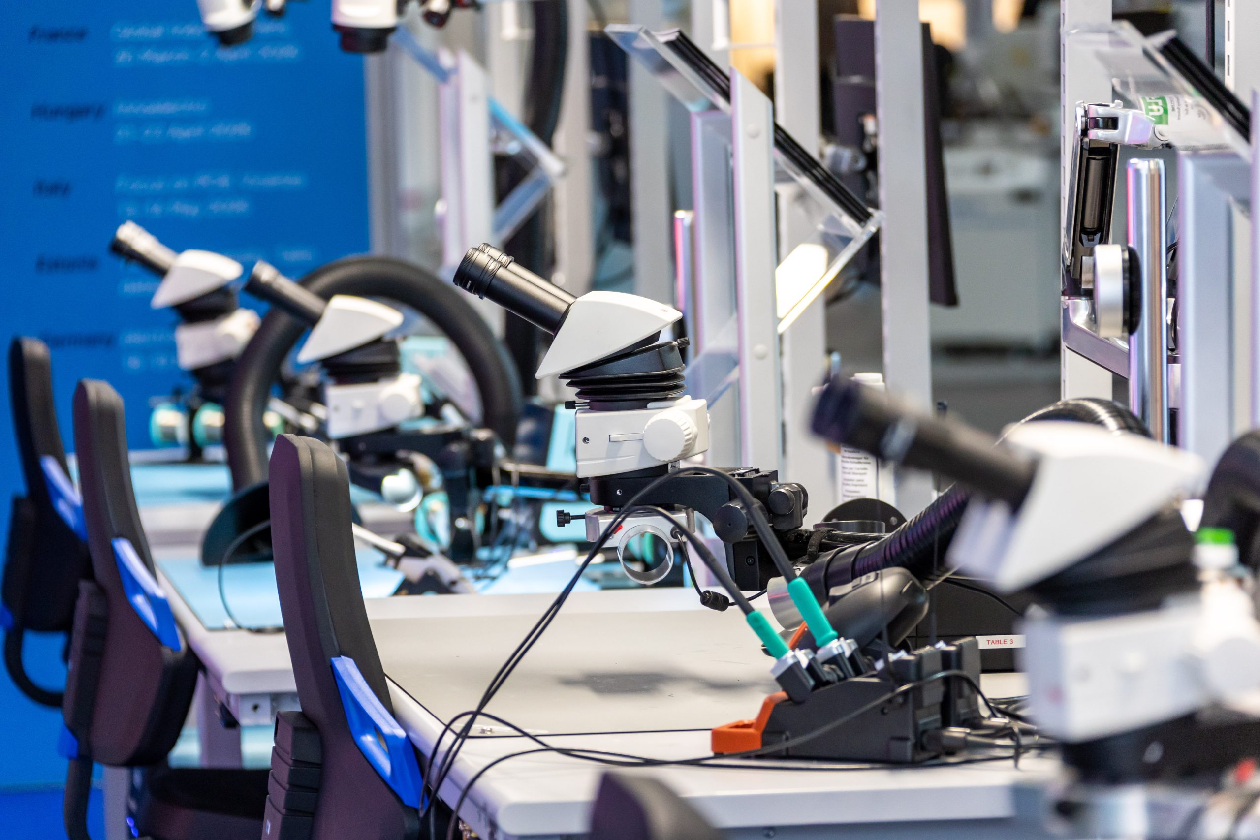 [Single-Line Text] 代替テキスト